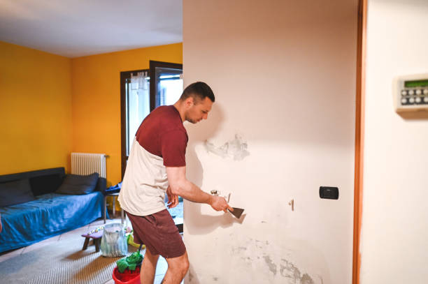 Best Black Mold Removal  in Williamsport, PA